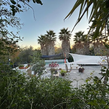 Loft Independiente "La Casita Del Olivo Centenario" กอร์โดบา ภายนอก รูปภาพ